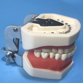 Стоматологические материалы смола оральный инструмент изолированная подготовка зуба модель вскрытия корневого канала от мокроты