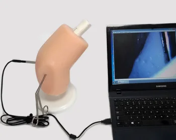 Тренажер для артроскопии, тренажер для обучения ортопедическому артроскопу коленного сустава